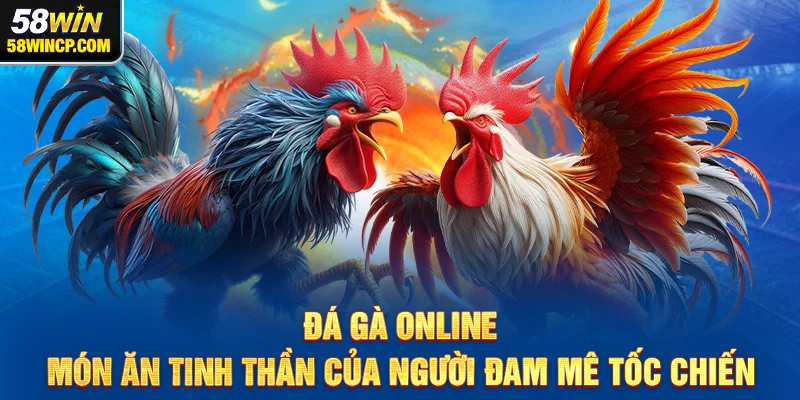 Đá gà online – Món ăn tinh thần của người đam mê tốc chiến
